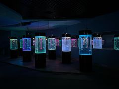 -苏州海洋馆