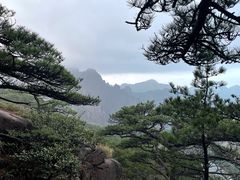 -黄山风景区