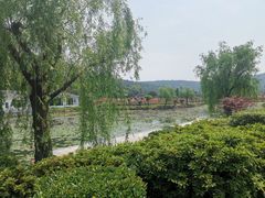 -龙寺生态园
