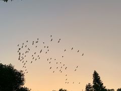-大埔公路-马料水段香港中文大学(公交站)