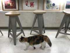 -玫瑰咖啡(中山六路店)