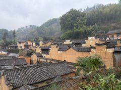-杨家堂村