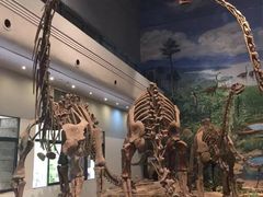 -自贡恐龙博物馆