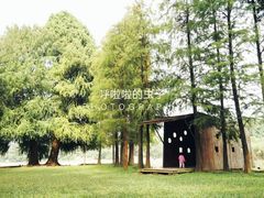 -南宁良凤江国家森林公园