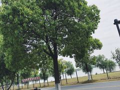 -漕湖湿地公园