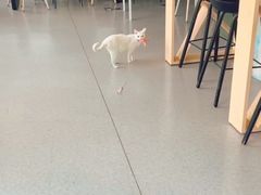 -SIA国际艺术留学·作品集辅导(海淀校区)
