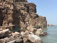 -海驴岛(荣成市)