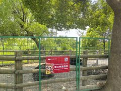 -苏州太湖西山岛开心农场