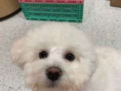 -電力宠物公司(武定路店)