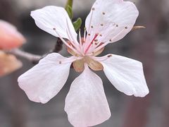 -三里河公园