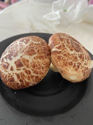 -玥奢国际母婴护理中心(滨江宝龙店)