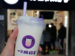 -一只酸奶牛(八一路店)