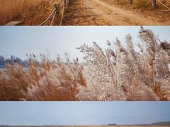 -野鸭湖国家湿地公园