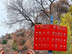 -少华山国家森林公园