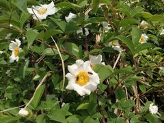 -艾溪湖湿地公园