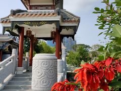 -顺峰山公园