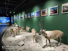 -南宫五洲植物乐园