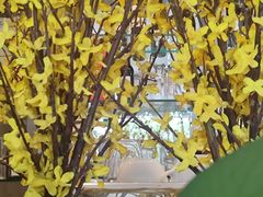 -花舍·新派粤菜·西餐·下午茶(亚运村·鸟巢店)