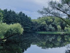 -上海共青森林公园