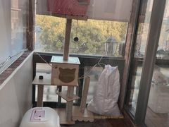 -月迷津渡(吾悦国际店)