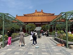 -神州牡丹园