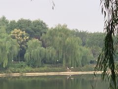 -西安汉城湖景区