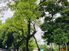 -江心屿景区