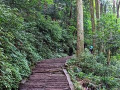 -青城山