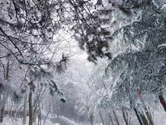 -塔云山