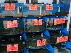 水产区-北戴河庆山饭店·海鲜砂锅粥(北戴河黑石路店)