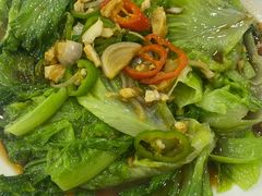 -石岐乳鸽村(桥观坊南四巷店)