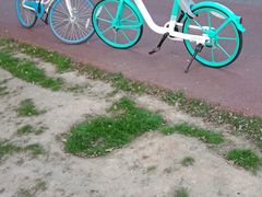 -艾溪湖湿地公园