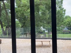 -J Create城市露营咖啡·简餐·宠物(上海动物园店)