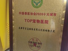 -半岛宠物医院24小时(白果林店)