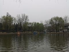 -团结湖公园
