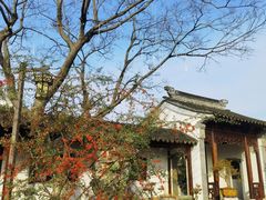 -苏州冶园园林民宿(太湖西山风景区店)