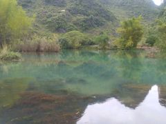 -靖西鹅泉风景区