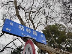 -颐和路民国时期公馆风貌区