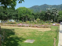 -深圳仙湖植物园