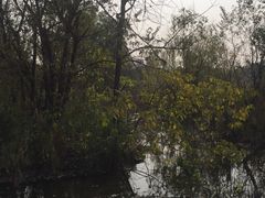 -西湖风景区-江洋畈生态公园
