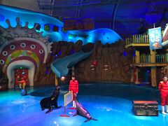 -烟台海昌鲸鲨海洋公园