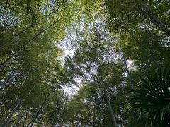 -南山风景名胜区