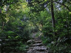 -紫金山山顶公园