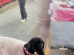 -沙州食驿·非遗小吃夜市