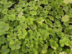 -苏州河梦清园环保主题公园