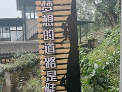 -南山植物园