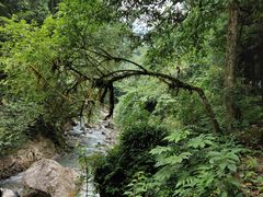 -西岭雪山大飞水景区