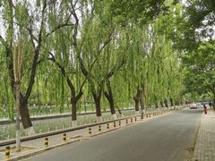 -南长河公园