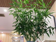 -桃子餐厅·天津菜(红星路直营店)