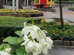 -石排湾郊野公园